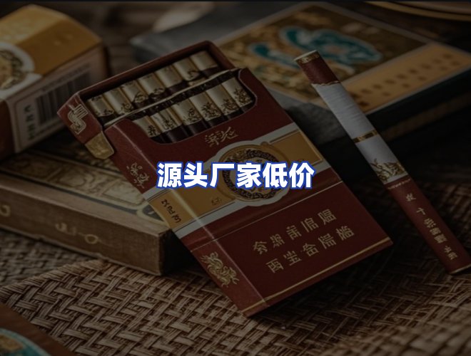 专业团队